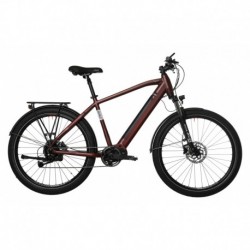 Bicyklet Raymond Electric City Bike Shimano Acera 9S 504 Wh - Main Image